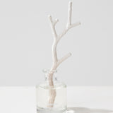 Eternal Sandalwood, 50 ml